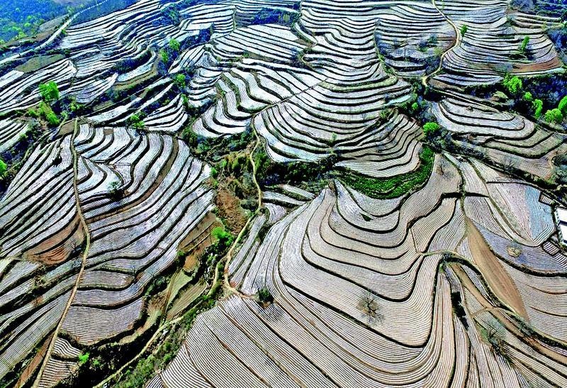 陕西：夏游铜川“中国美丽田园哭泉旱作梯田